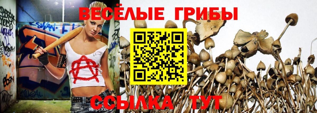 Галлюциногенные грибы GOLDEN TEACHER  Псилоцибиновые грибы мухоморы  Вход с VPN  Екатеринбург 